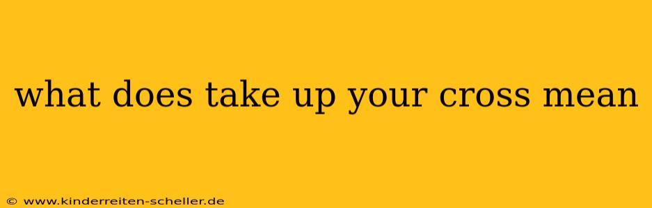 what does take up your cross mean