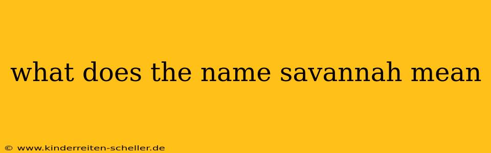what does the name savannah mean