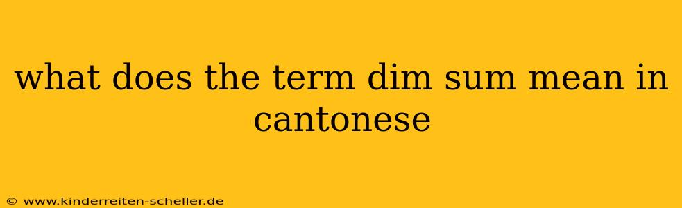 what does the term dim sum mean in cantonese