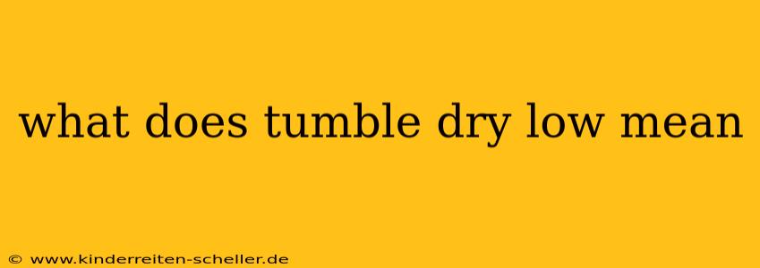 what does tumble dry low mean