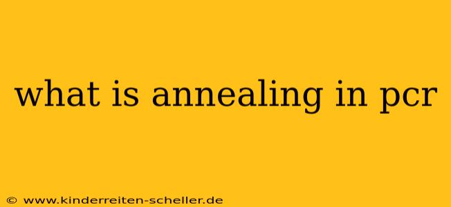 what is annealing in pcr