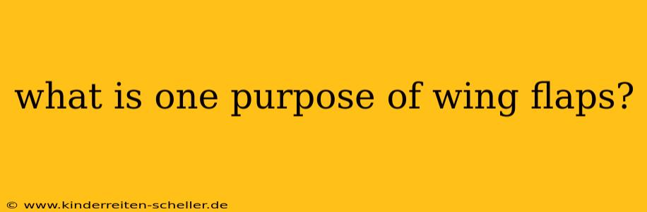 what is one purpose of wing flaps?