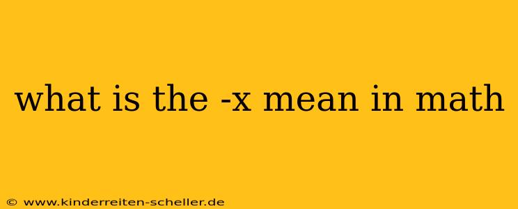 what is the -x mean in math