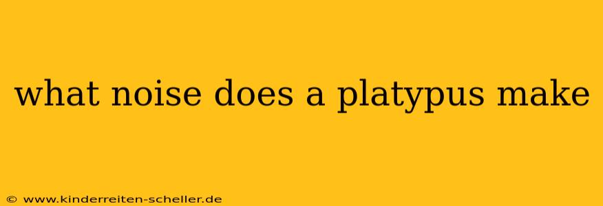 what noise does a platypus make