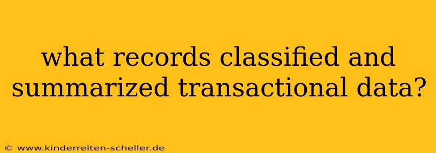 what records classified and summarized transactional data?