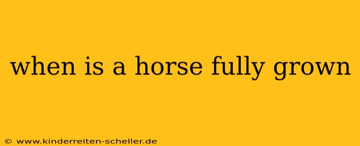 when is a horse fully grown