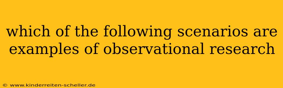 which of the following scenarios are examples of observational research