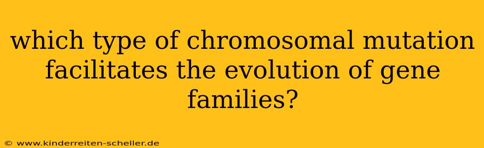 which type of chromosomal mutation facilitates the evolution of gene families?