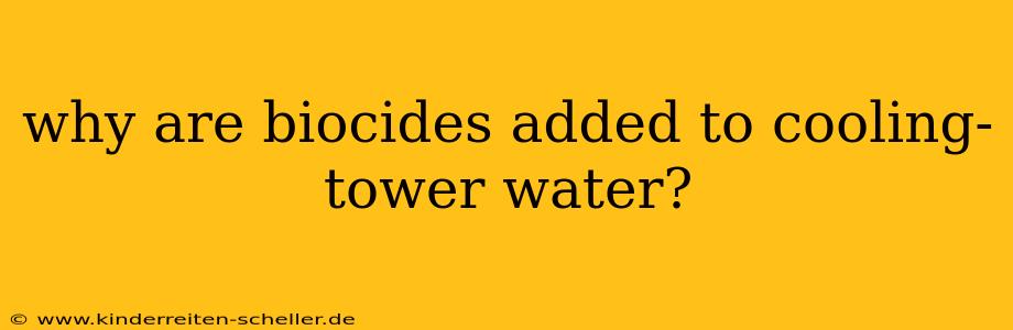 why are biocides added to cooling-tower water?